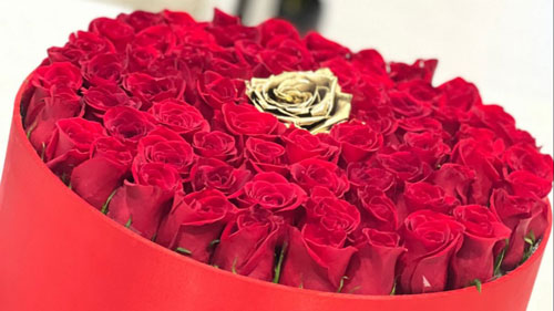 Dream Rose Florist Florist Toronto (GTA)