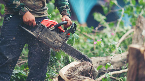 Five Star Tree Service LANDSCAPE, WATER PROOFING & SNOW REMOVAL Toronto (GTA)