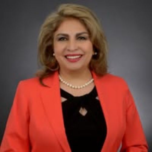 Lida Noorafkan REAL ESTATE BROKERS & AGENTS Toronto (GTA)