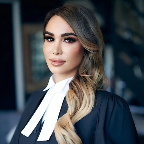 Amiri Law Firm  LAWYER & PARALEGAL SERVICES Toronto (GTA)