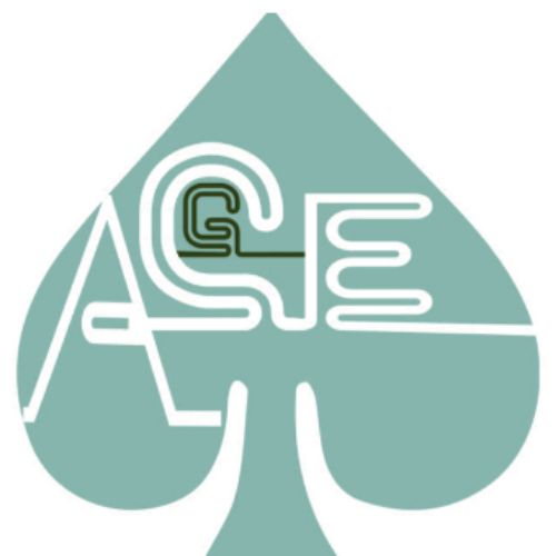 Ace Gardener  LANDSCAPE, WATER PROOFING & SNOW REMOVAL Toronto (GTA)