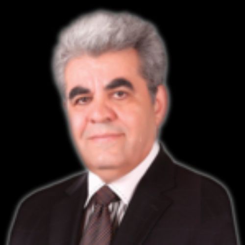 Parviz Nedamat REAL ESTATE BROKERS & AGENTS Toronto (GTA)