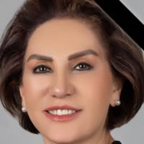 Faran Hakimi REAL ESTATE BROKERS & AGENTS Toronto (GTA)